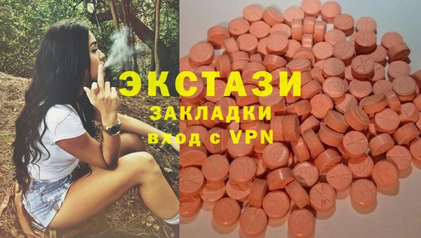молекула духа Алексин