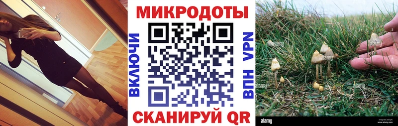 Псилоцибиновые грибы Psilocybe  дарнет шоп  KRAKEN сайт  Апшеронск 
