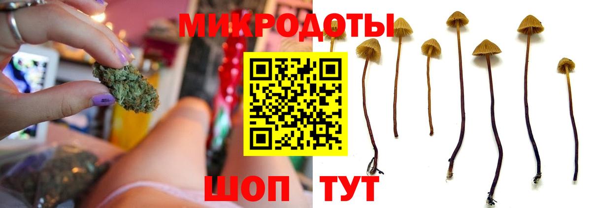 Галлюциногенные грибы GOLDEN TEACHER Апшеронск